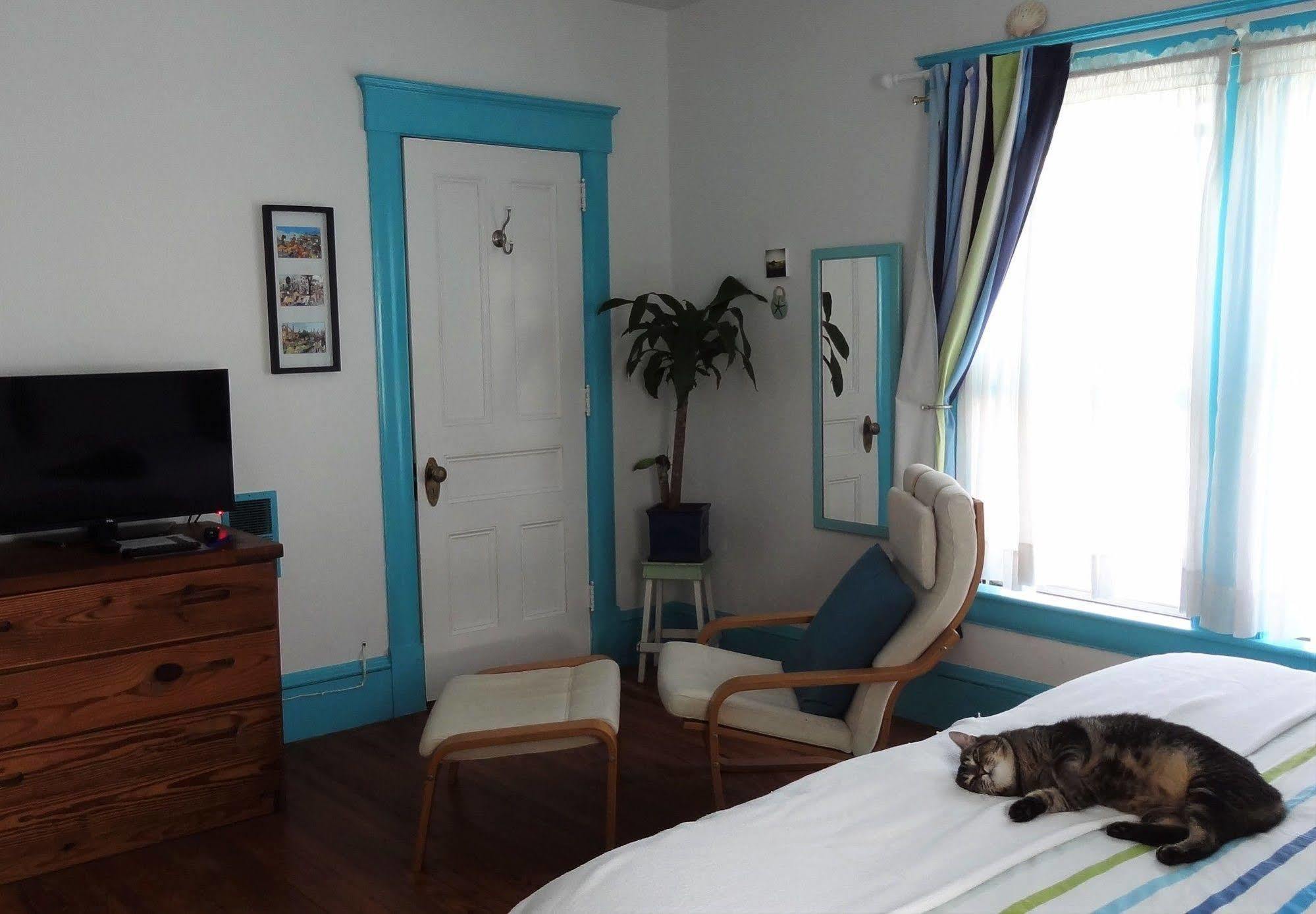 The One Cat Bed & Breakfast แบรตเทิลโบโร ภายนอก รูปภาพ